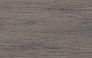 Driftwood