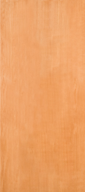 49900 Fir exterior wood door in douglas fir